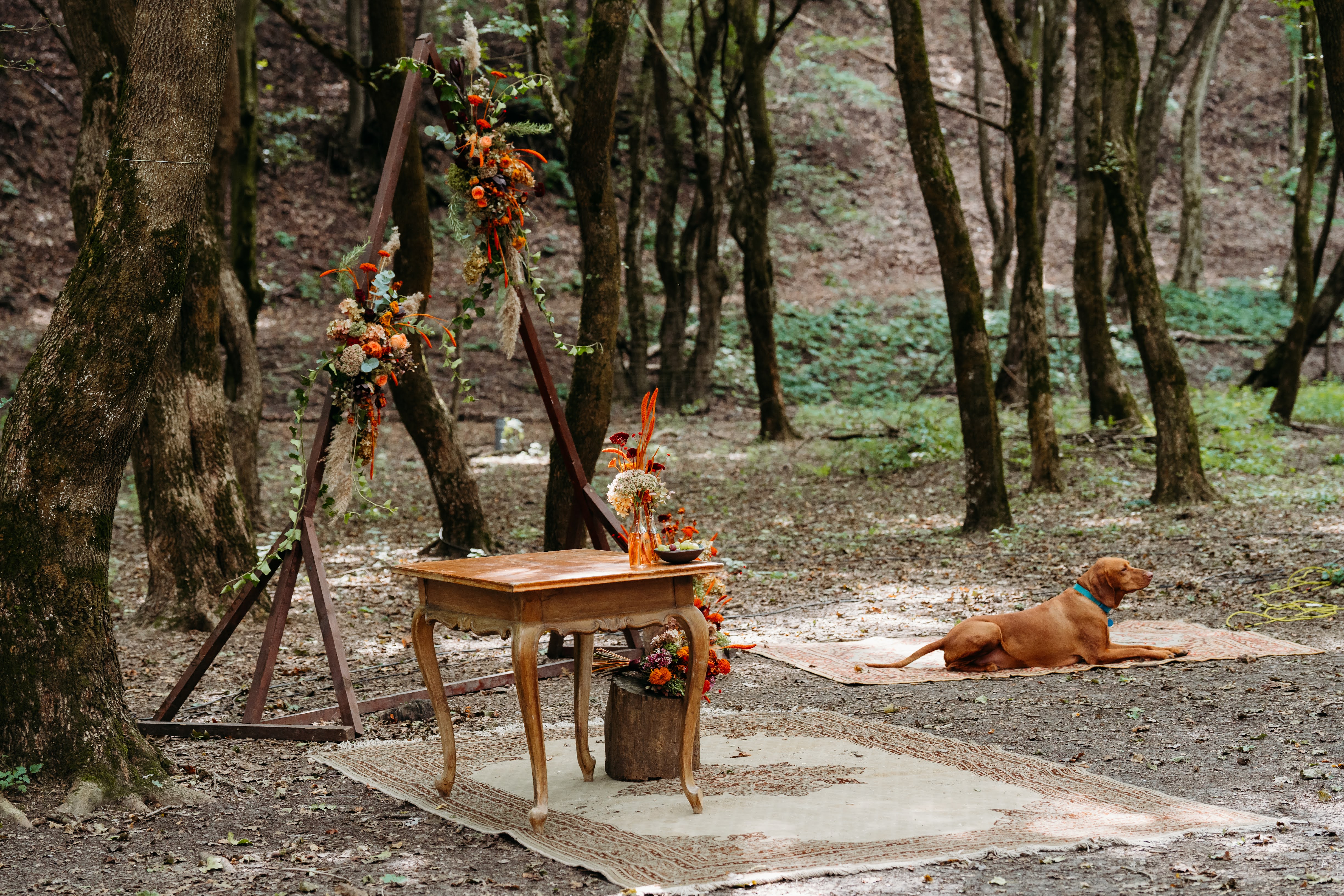 Dóri és Dávid esküvői galéria kép 7